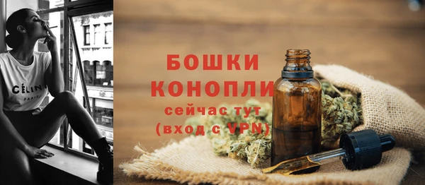 сатива Лагань