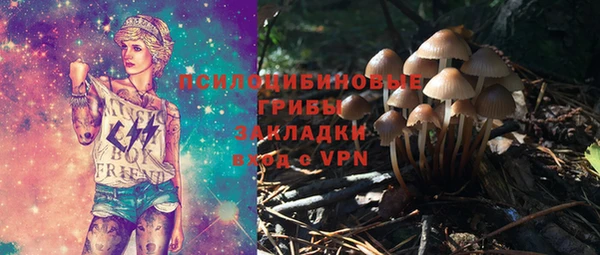 СК Ладушкин
