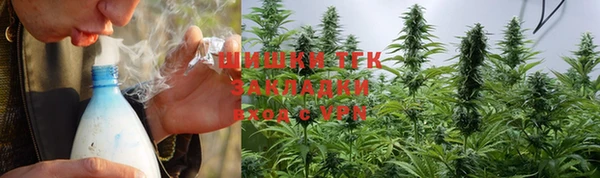 сатива Лагань