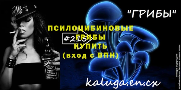 СК Ладушкин