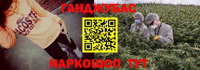 дмт Новодвинск