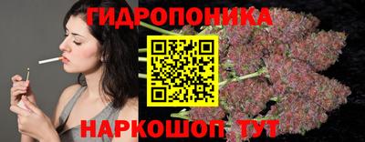 дмт Новодвинск