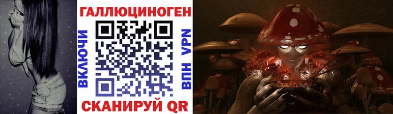 где купить наркотик  Черкесск  МЕГА маркетплейс  Псилоцибиновые грибы GOLDEN TEACHER 