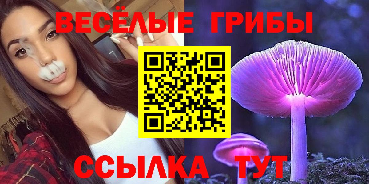 Черкесск  Псилоцибиновые грибы MAGIC MUSHROOMS  Вход с VPN  где продают   Галлюциногенные грибы Psilocybine cubensis 