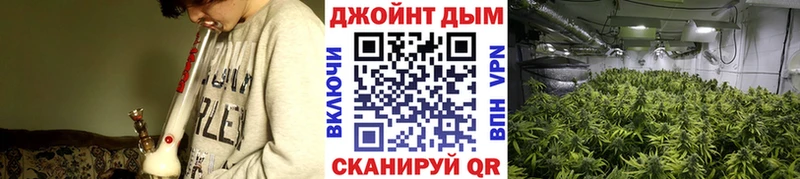 МАРИХУАНА тримм  где найти   Черкесск 